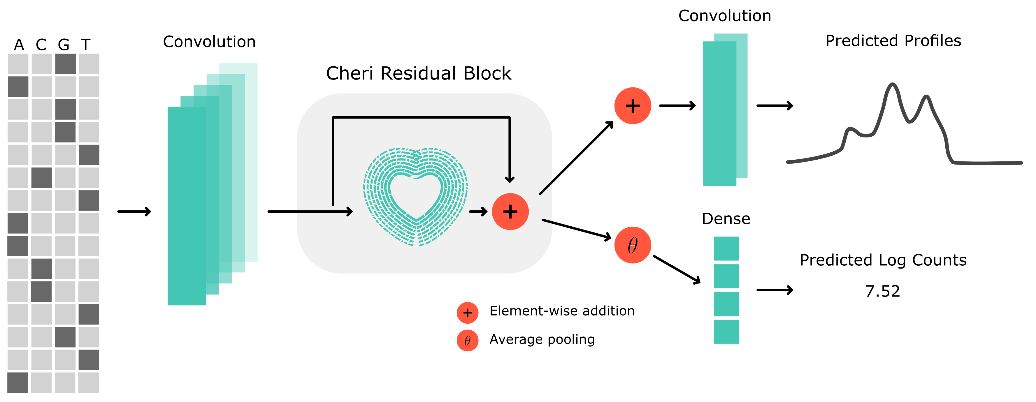 Cherimoya model architecture